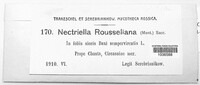 Pseudonectria buxi image
